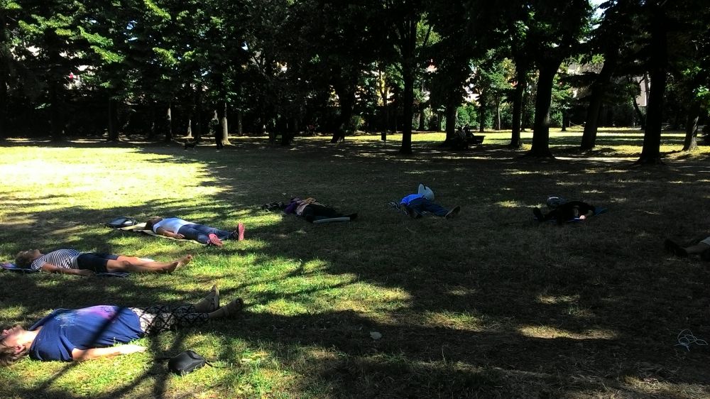 NEI PARCHI O SUL MARE